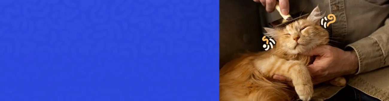 michu cat litter - Professional Guide and Review