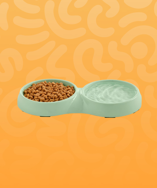 dog house collar installation guide