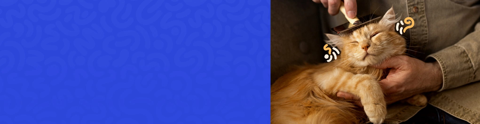 michu cat litter - Professional Guide and Review