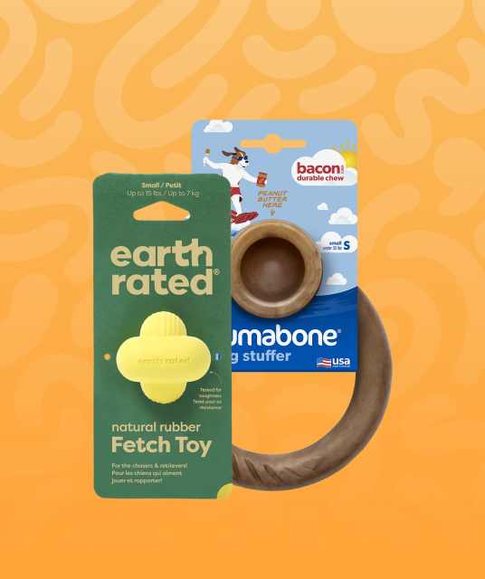 automatic pet feeder comparison