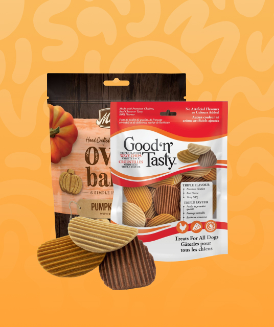 hammock on car - Professional Guide and Review