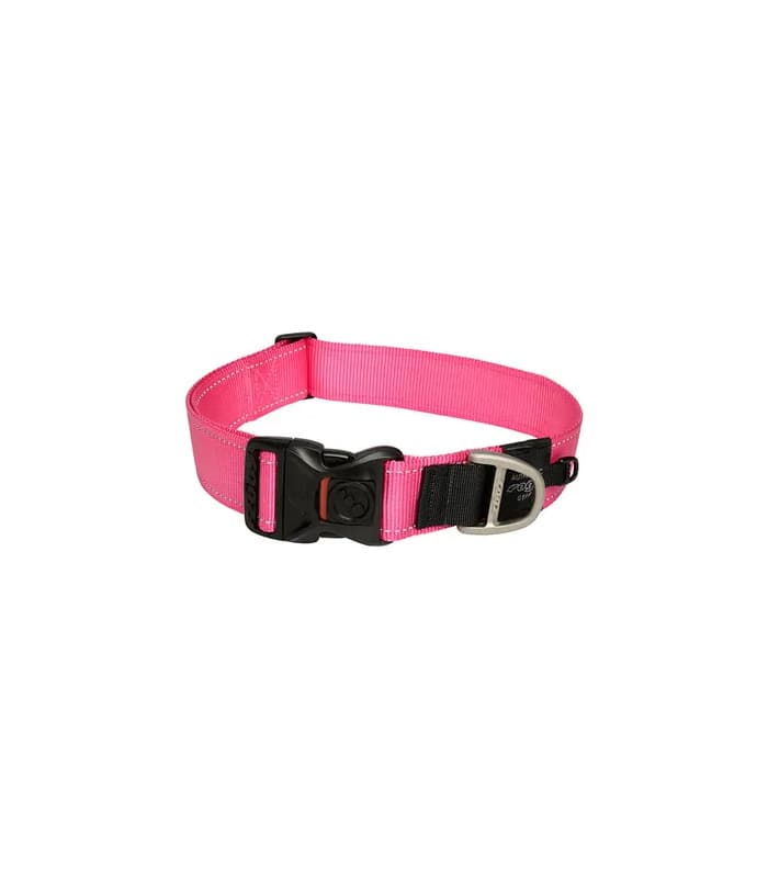 pet-product-dogs-leashes-1-2.jpg Drool By Dr Chris Brown Teeth and Breath Dog Treat - Image 3