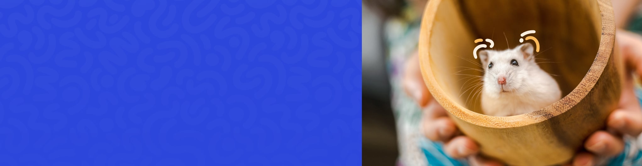 large plastic dog kennel - Professional Guide and Review