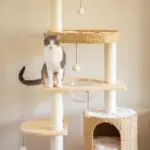 Premium Solid Wood and Natural Wicker Cat Tree