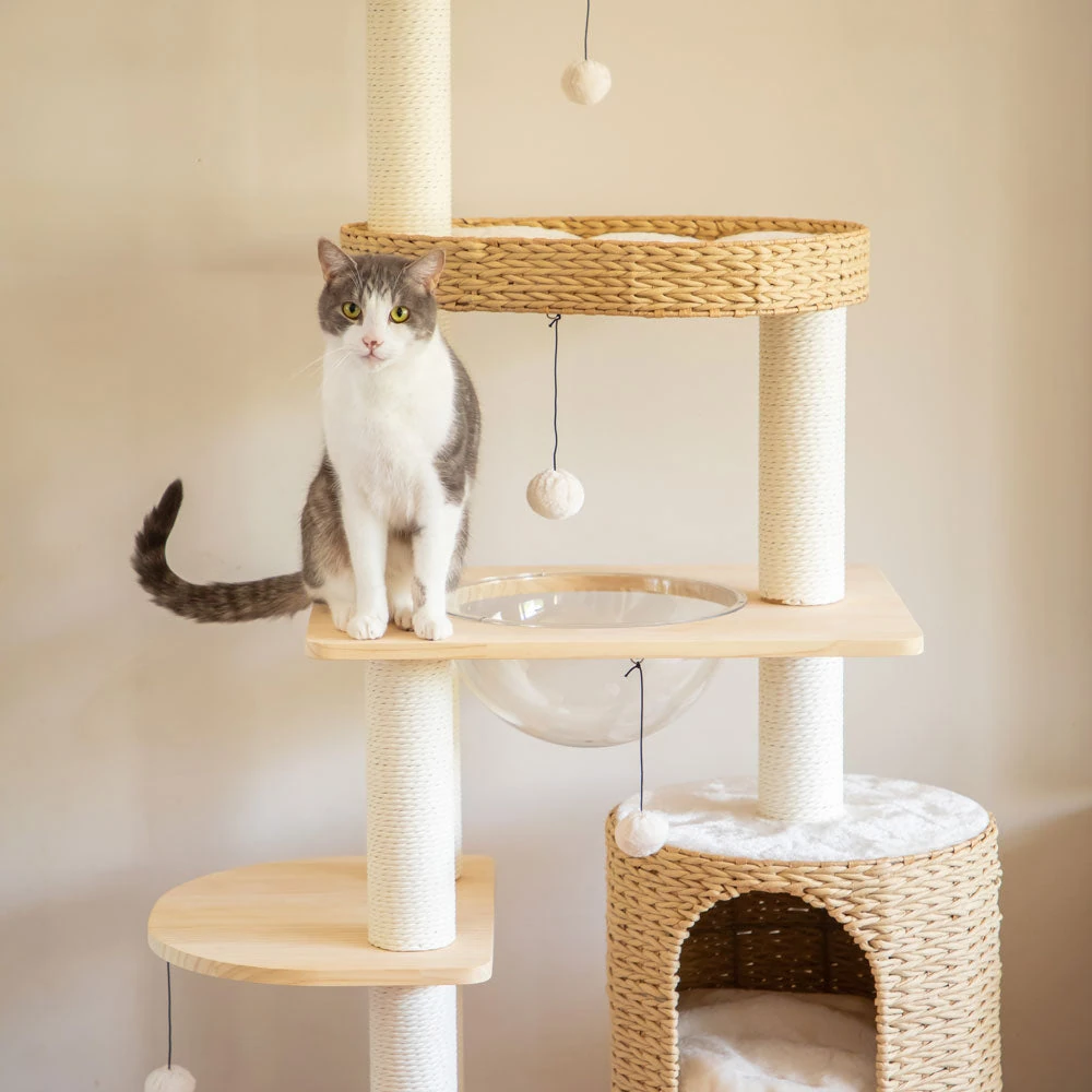 042A5659_2000x Premium Solid Wood and Natural Wicker Cat Tree