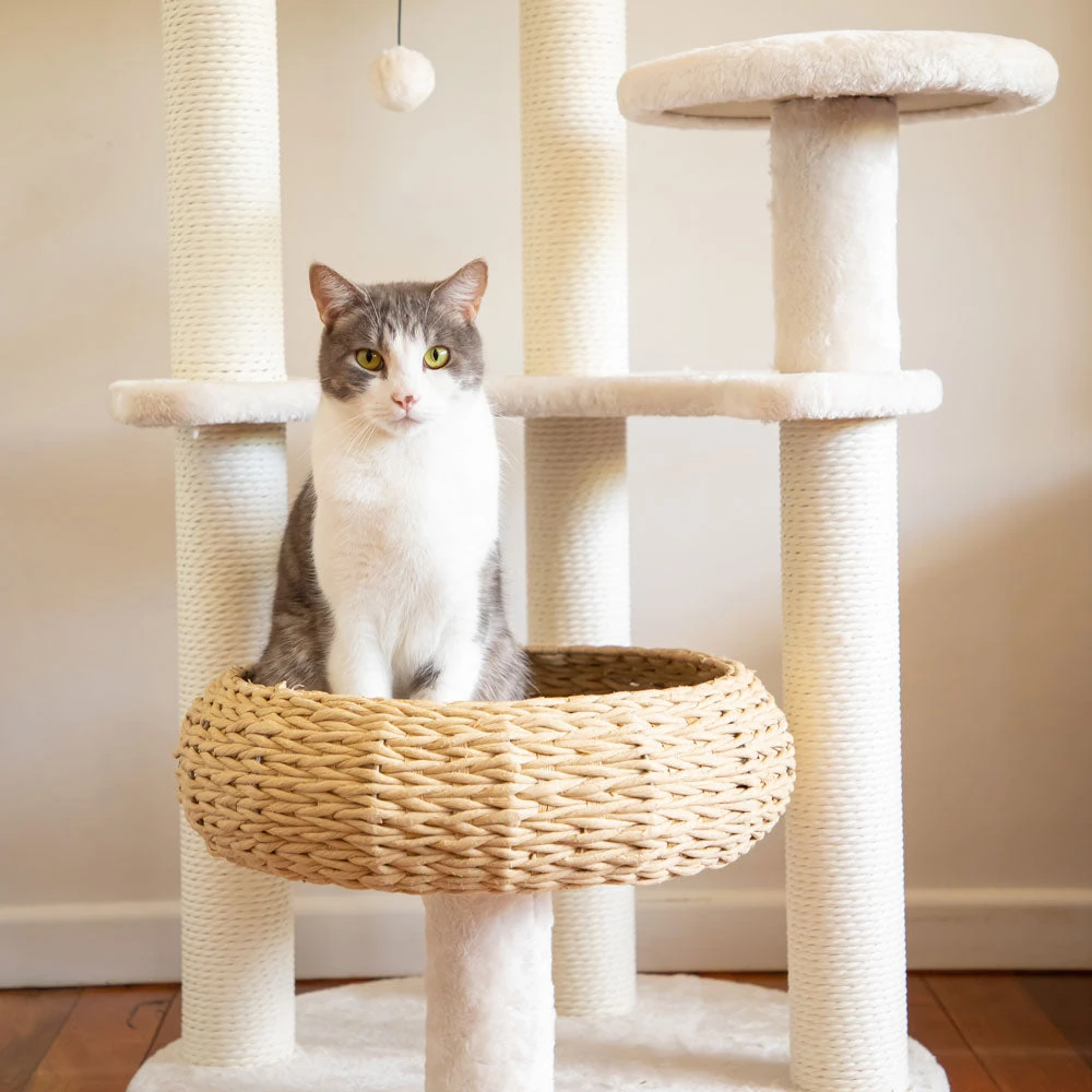 042A5803_2000x 5-Platform Plush and Wicker Cat Tree