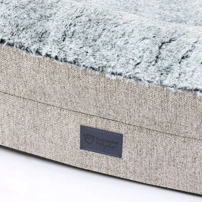 0f9f29c8-482f-4def-a061-1fe6a50fddc6_400x dog traile - Professional Guide and Review