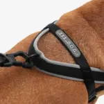 SofterWalk No Pull Dog Harness | Gotham