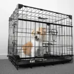 Sliding Door Dog Crate