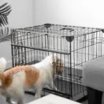 Sliding Door Dog Crate
