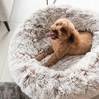 120_3e3e00b8-7830-420d-a5fc-b346a4251f7e_400x Curl Up Cloud Calming Dog Bed, Sable
