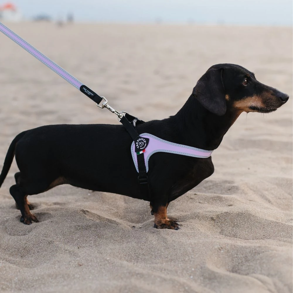 121_511574df-e628-400f-887a-15fc1e1e4408_2000x Tre Ponti Genesis Easy Leash, Pink