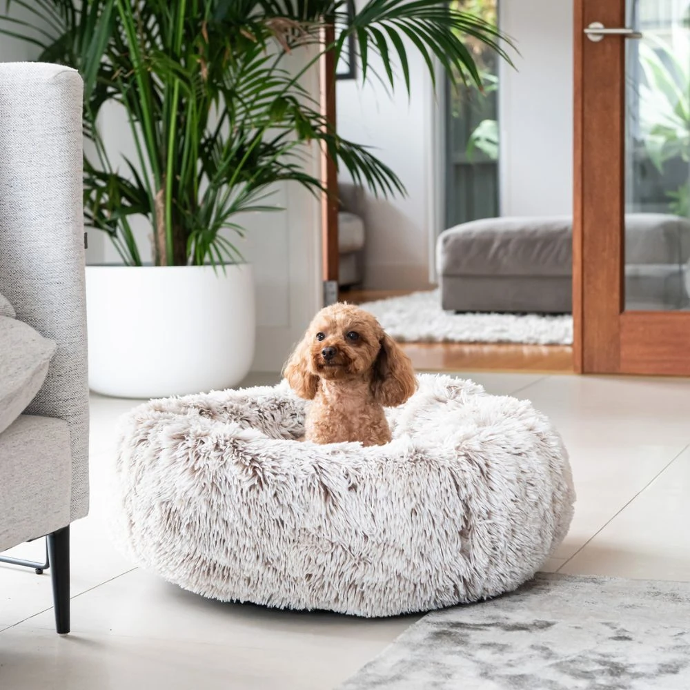 121_c4965664-4dcc-4e70-ac50-2dc008dac729_2000x Curl Up Cloud Calming Dog Bed, Sable