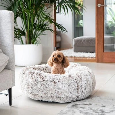 121_c4965664-4dcc-4e70-ac50-2dc008dac729_400x Curl Up Cloud Calming Dog Bed, Sable