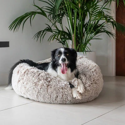 122_cfdb2e2a-bfc4-451e-9018-417fe5a11f05_400x Curl Up Cloud Calming Dog Bed, Sable