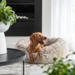 Curl Up Cloud Calming Dog Bed, Sable