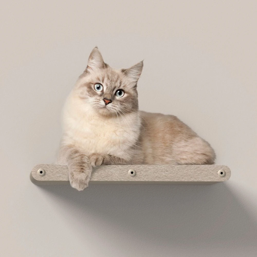 12_31bd5baa-b73a-4659-a6dc-64e3ac524b0a_2000x Cat Climber Set of 4 Shelves, Oatmeal