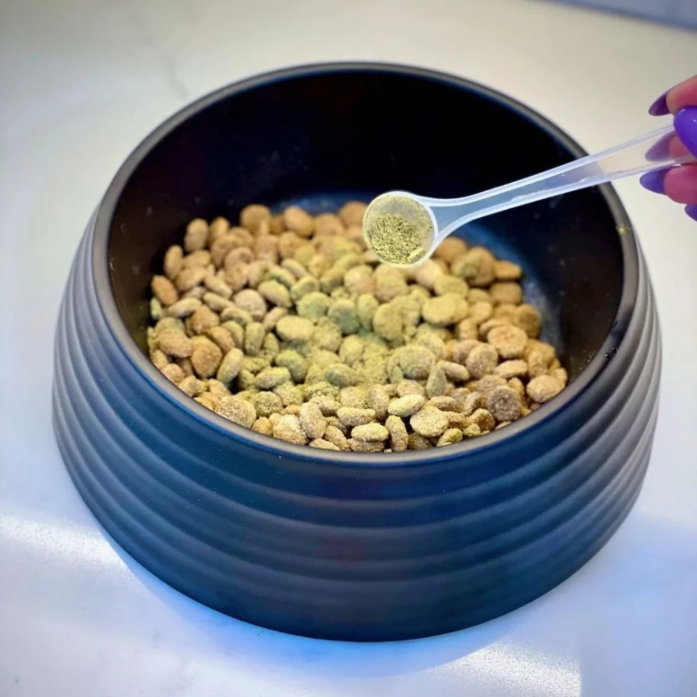 12_8b1e407f-4f6e-4a83-bbad-ab51d1b7de9f_2000x Petz Park Supplement For Dogs | Probiotic