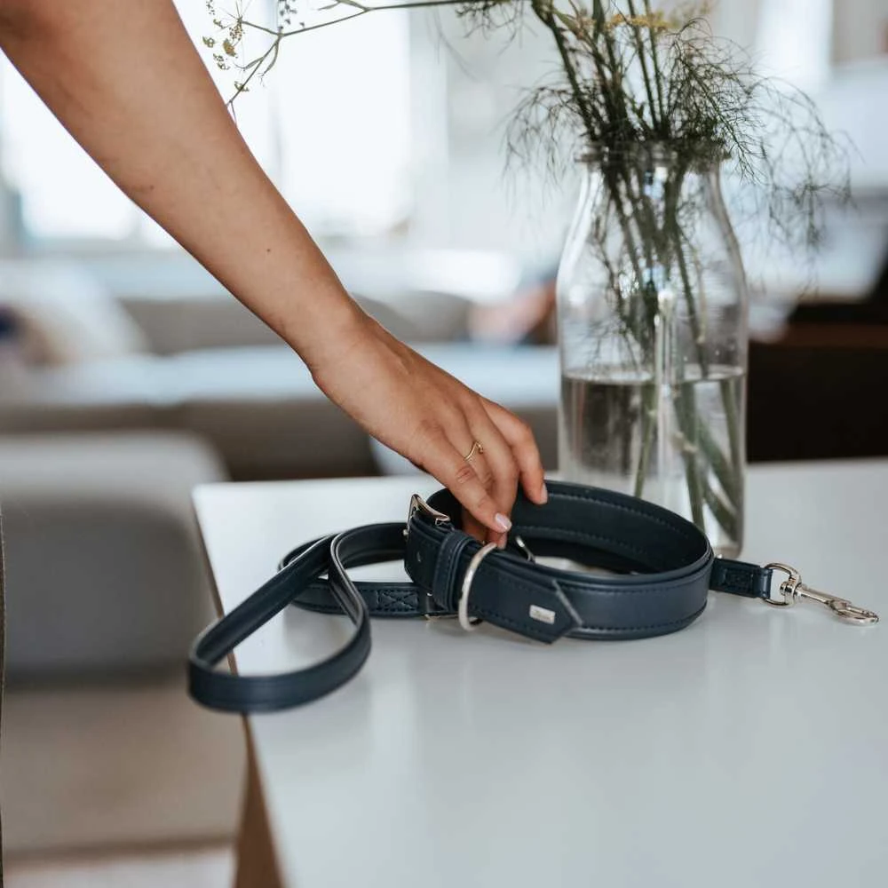 14_11cd07c3-4b8b-40c6-8905-40303dff1c92_2000x Hunter Dog Collar Amalfi, Blue