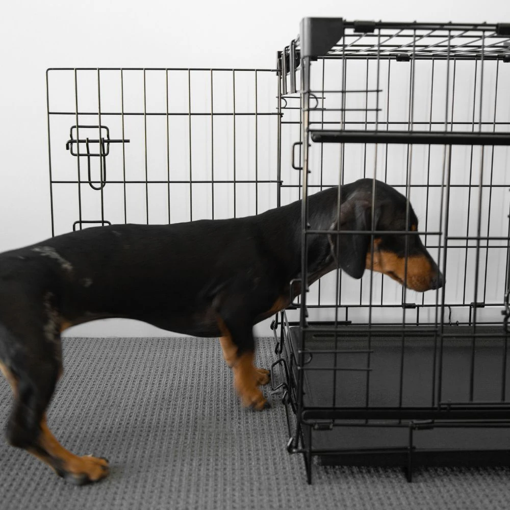 14_dde19b2a-1d8c-4b70-80b5-0d89d6ed7af4_2000x Sliding Door Dog Crate