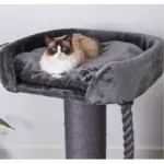 High Bed Scratching Post for Large Cats, Charcoal