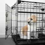 Sliding Door Dog Crate