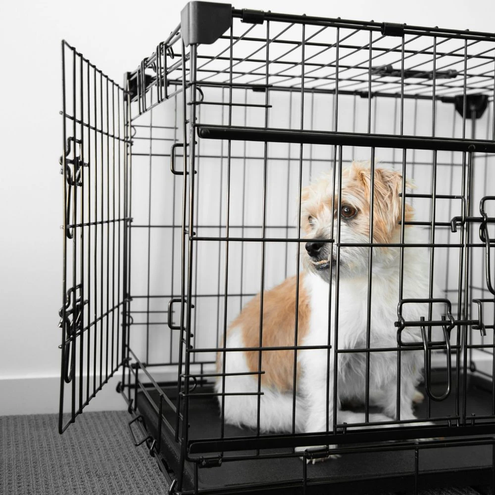 15_6c725fbe-99cc-4ace-8003-d504e571010b_2000x Sliding Door Dog Crate