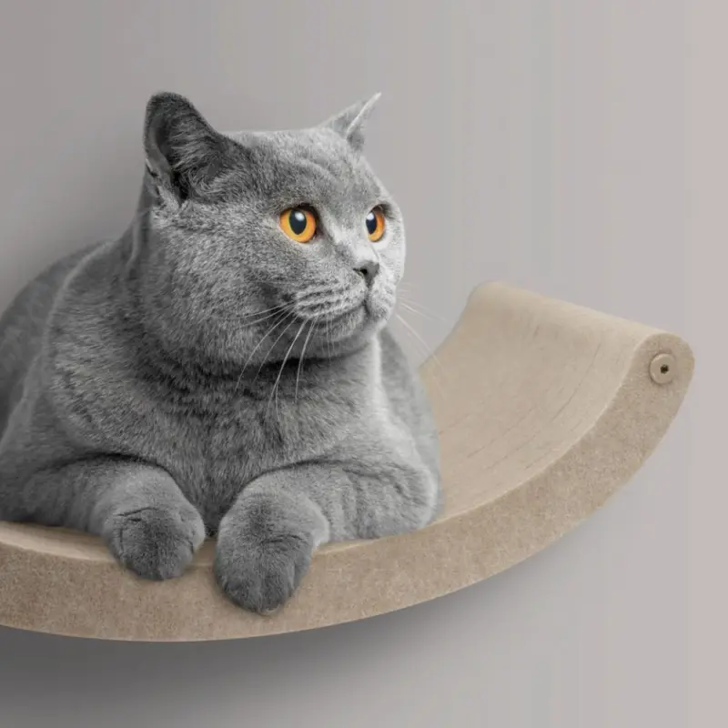 dog fleeces and jumpers - Professional Guide and Review