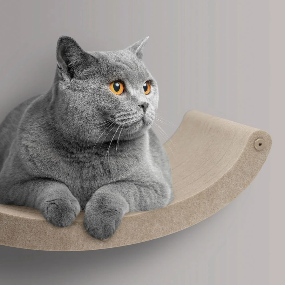 15_93cd86e4-2a54-45d1-9fb4-815e6ac5eb87_2000x Cat Climber Set of 4 Shelves, Oatmeal