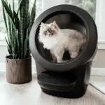 Automatic Litter-Robot 4, Black