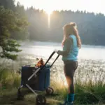 Ibiyaya BigBuddy Pet Stroller and Crate Combo, Crystal Teal