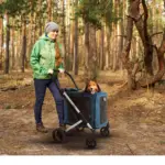 Ibiyaya BigBuddy Pet Stroller and Crate Combo, Crystal Teal