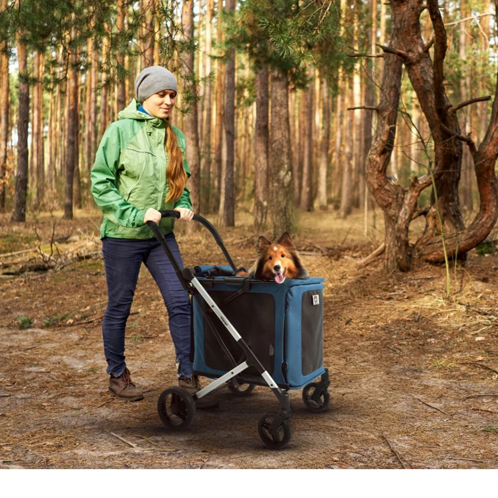 176_2000x Ibiyaya BigBuddy Pet Stroller and Crate Combo, Crystal Teal