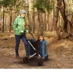 Ibiyaya BigBuddy Pet Stroller and Crate Combo, Crystal Teal