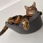 Cat Climber Set of 4 Shelves, Charcoal