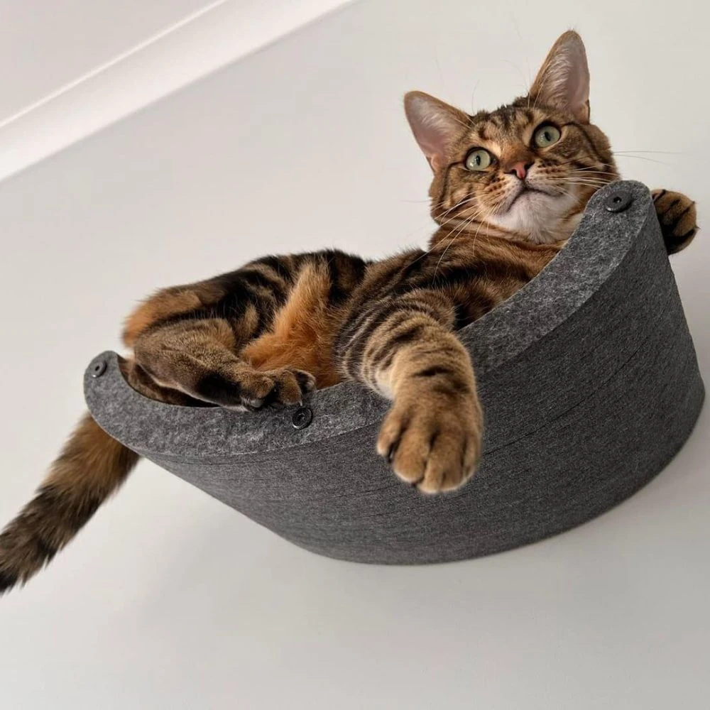 17_0dd35b56-f132-43dc-8f81-46776bd95b89_2000x Cat Climber Set of 4 Shelves, Charcoal