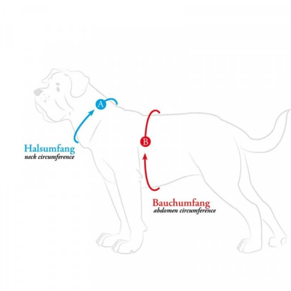 18_2000x Hunter London Comfort Dog Harness