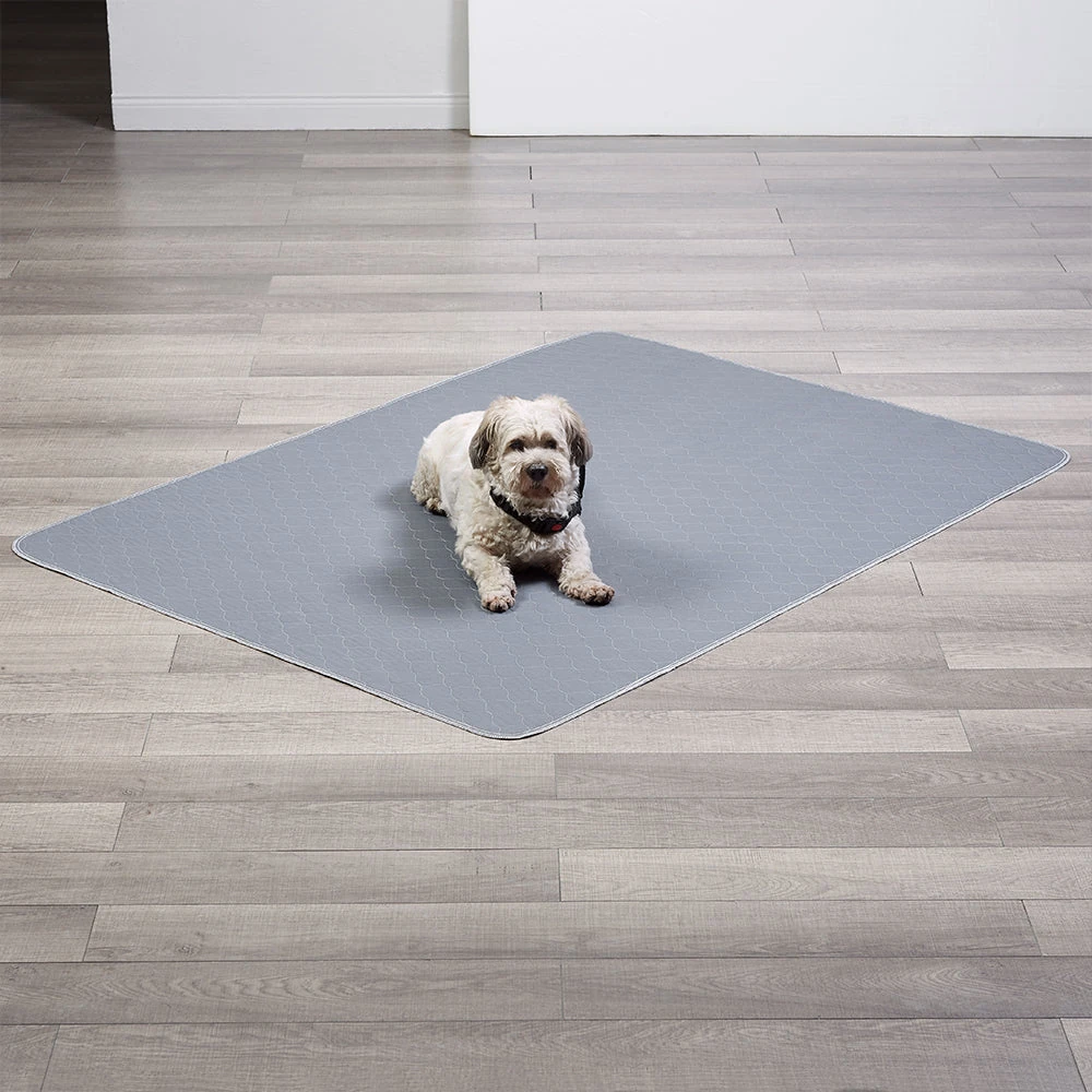 1_0dbac4e2-8330-47a1-95bb-783bd07c67de_2000x Washable Pet Pad