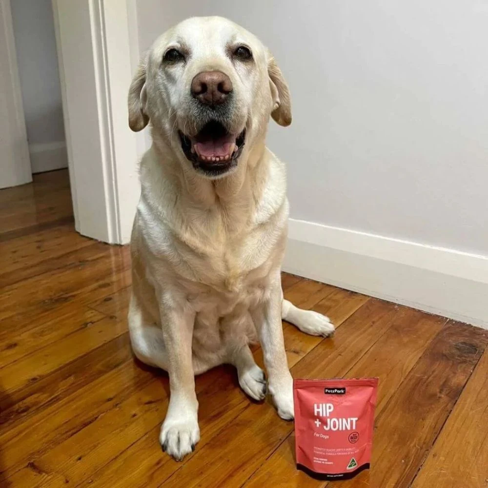 1_3cf4f12b-e193-4e6b-8d0a-9e8a34efb2de_2000x Petz Park Supplement For Dogs | Hip + Joint