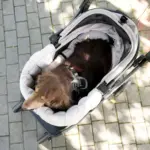 Ibiyaya All Season Pet Stroller Cushion Set, Earthy Brown