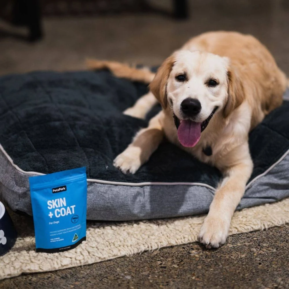 22_2d58ad50-9be1-4aa9-b906-345eea1e4628_2000x Petz Park Supplement For Dogs | Skin + Coat