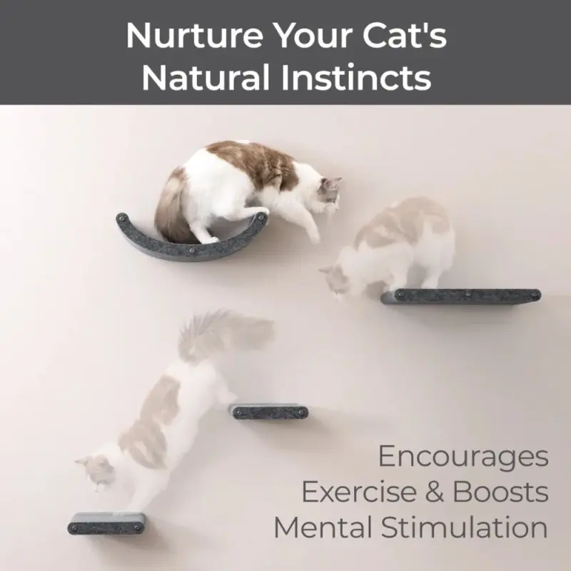 Cat Climber Short Steps (2), Charcoal