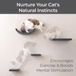 Cat Climber Set of 4 Shelves, Charcoal