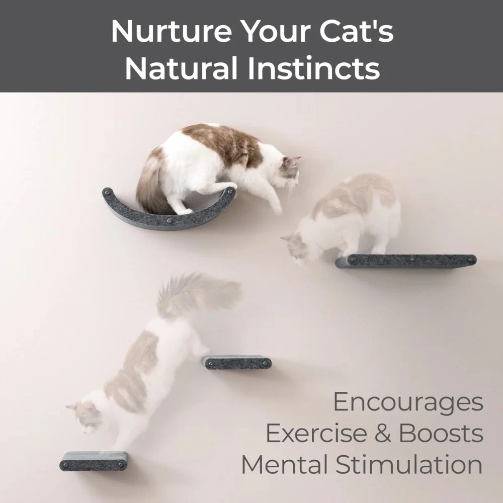 22_a6571f7b-bcdf-45e3-b279-247aecd578b9_2000x Cat Climber Set of 4 Shelves, Charcoal