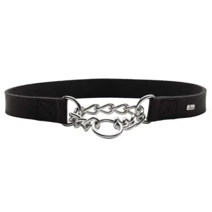 Hunter Aalborg Martingale Dog Collar, Black