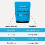 contemporary dog house - Professional Guide and Review