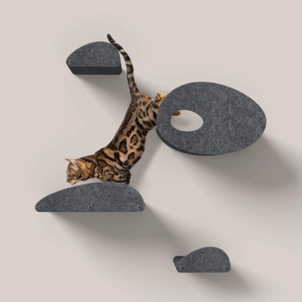 27_d0c14104-a45f-4cd7-a091-480b9d74dedb_2000x Cat Climber Set of 4 Facade Add-Ons, Charcoal