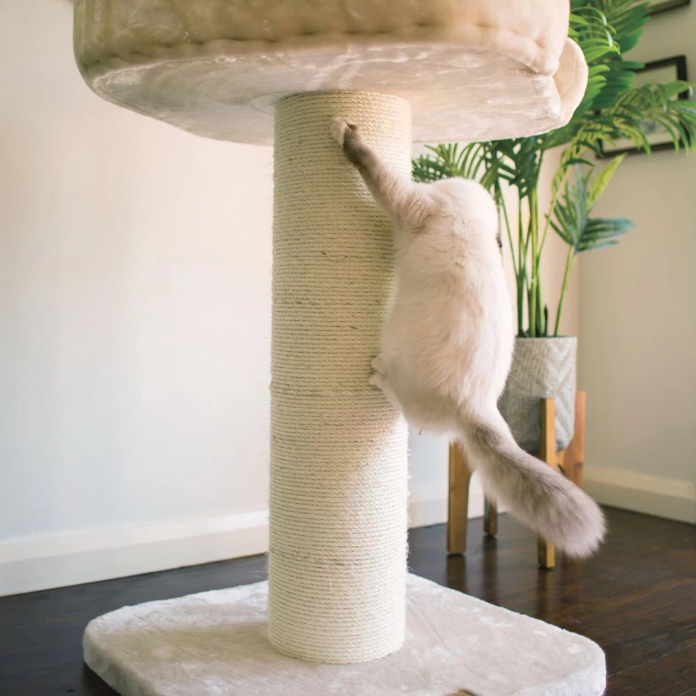 28_a96b7afa-c87f-42c7-b181-df972a2d7003_2000x High Bed Scratching Post for Large Cats, Cream