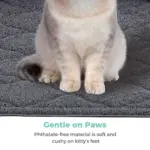 Cleo Internal Cat Litter Mat - Two-Piece Set