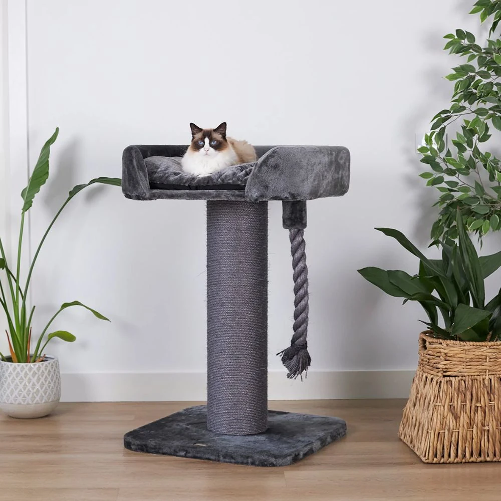 battery cat water fountain next to high bed scratching post charcoal